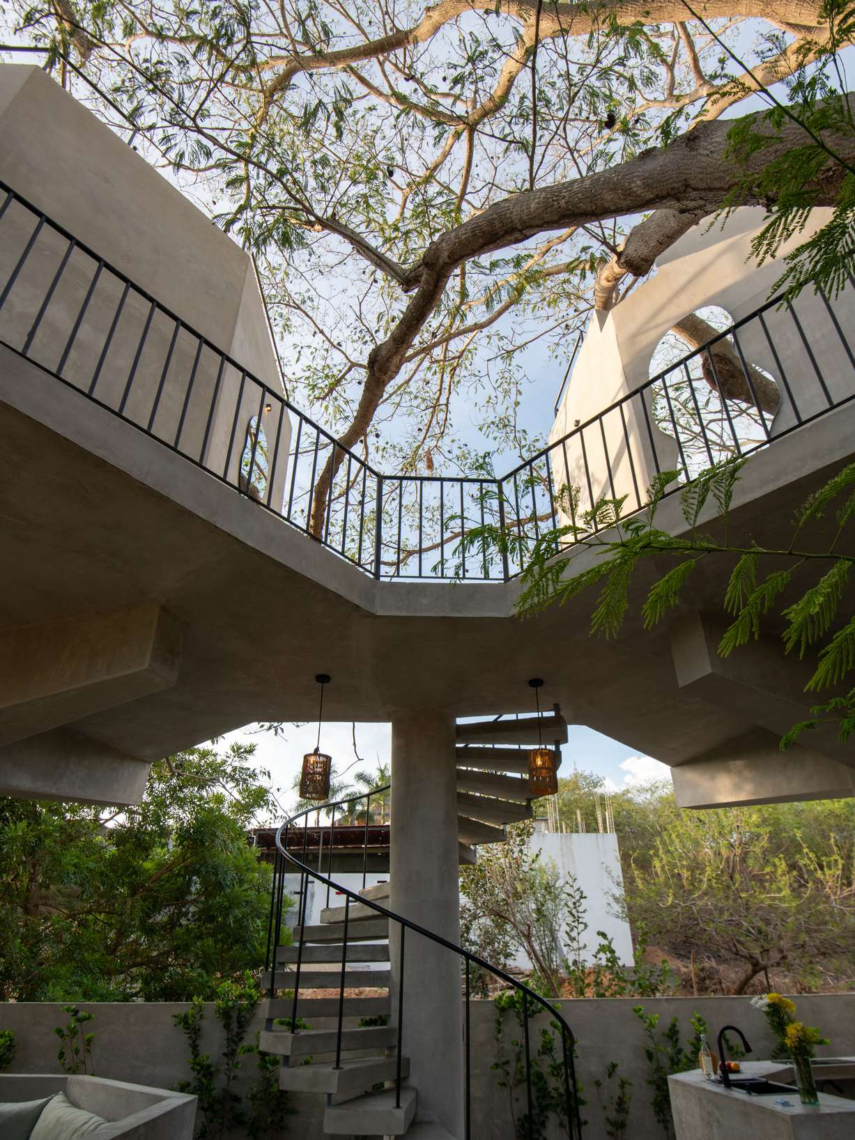 Looking up through the parota canopy to the open sky between the concrete terraces